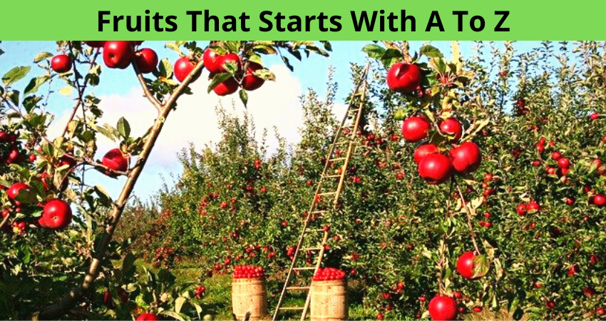 Fruits That Starts With A To Z