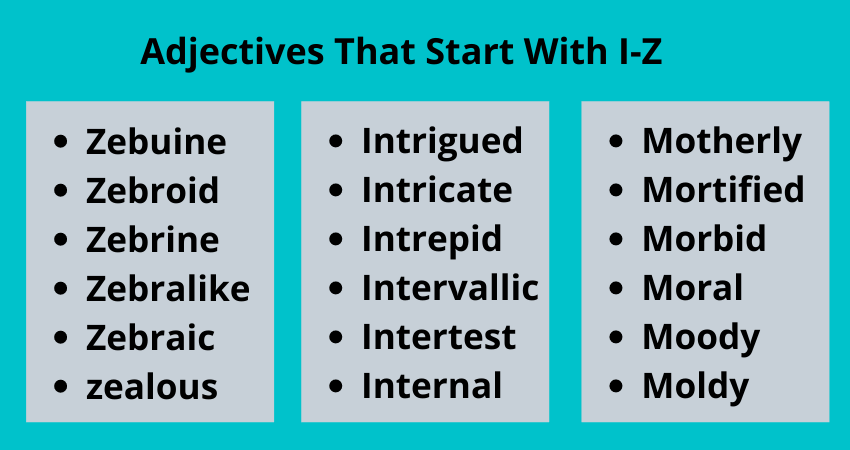 adjectives that start with i-z